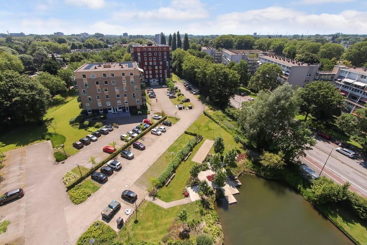 Foto 37 van Campanula 3-46