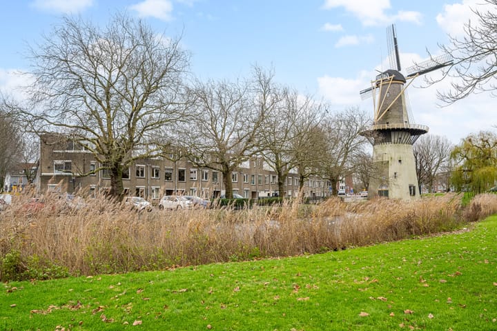 Photo 1 of Vellevest 24