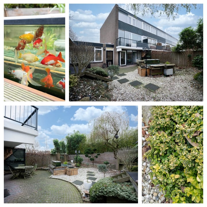 Foto 16 van Sint Pieter 47