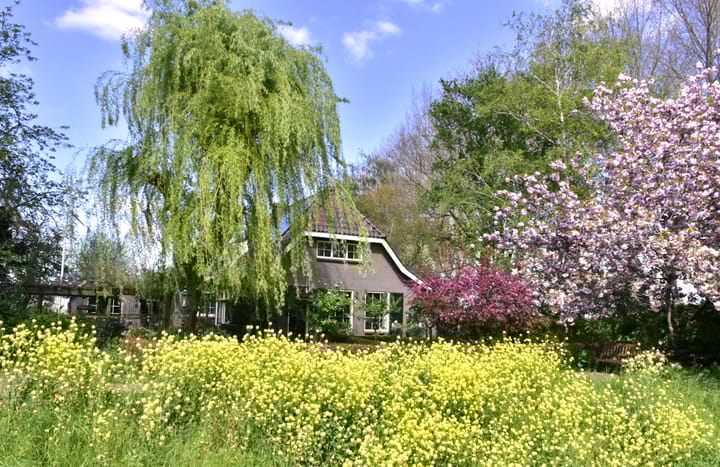 Foto 3 van Noord-Achterweg 2