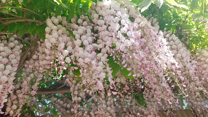 Foto 54 van Spaansevaartstraat 83