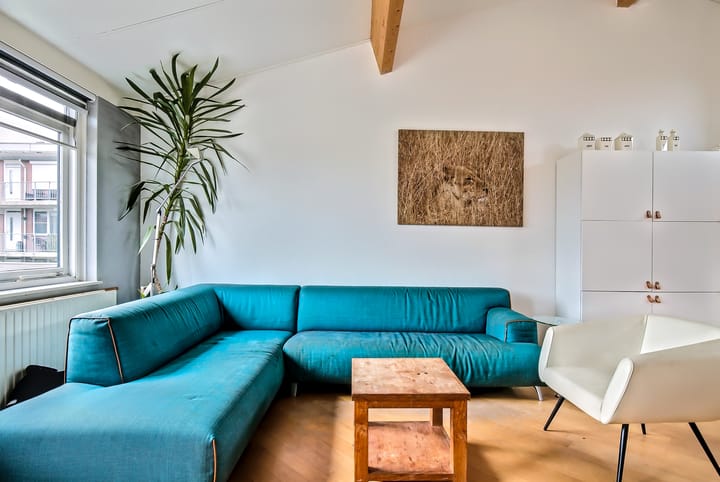 Foto 20 van Kerseboomgaard 4