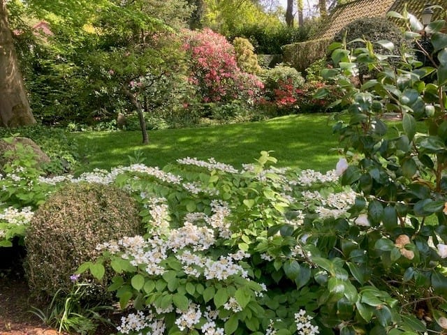 Foto 45 van Jan Steenlaan 4