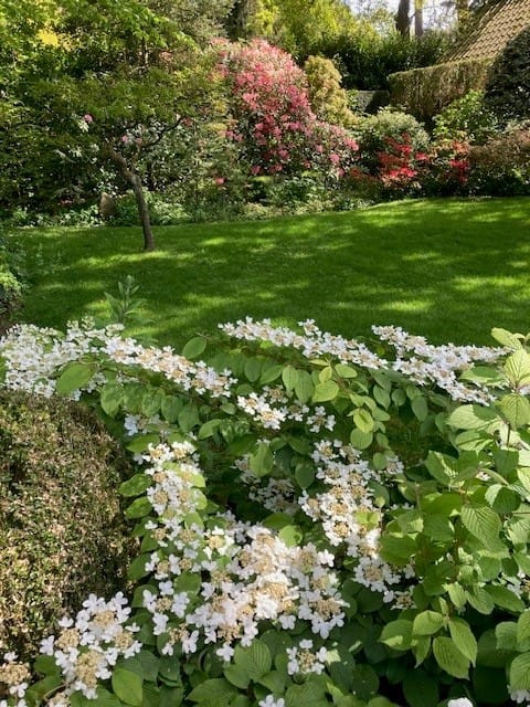 Foto 46 van Jan Steenlaan 4