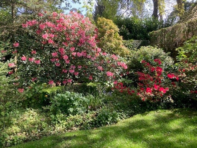 Foto 47 van Jan Steenlaan 4