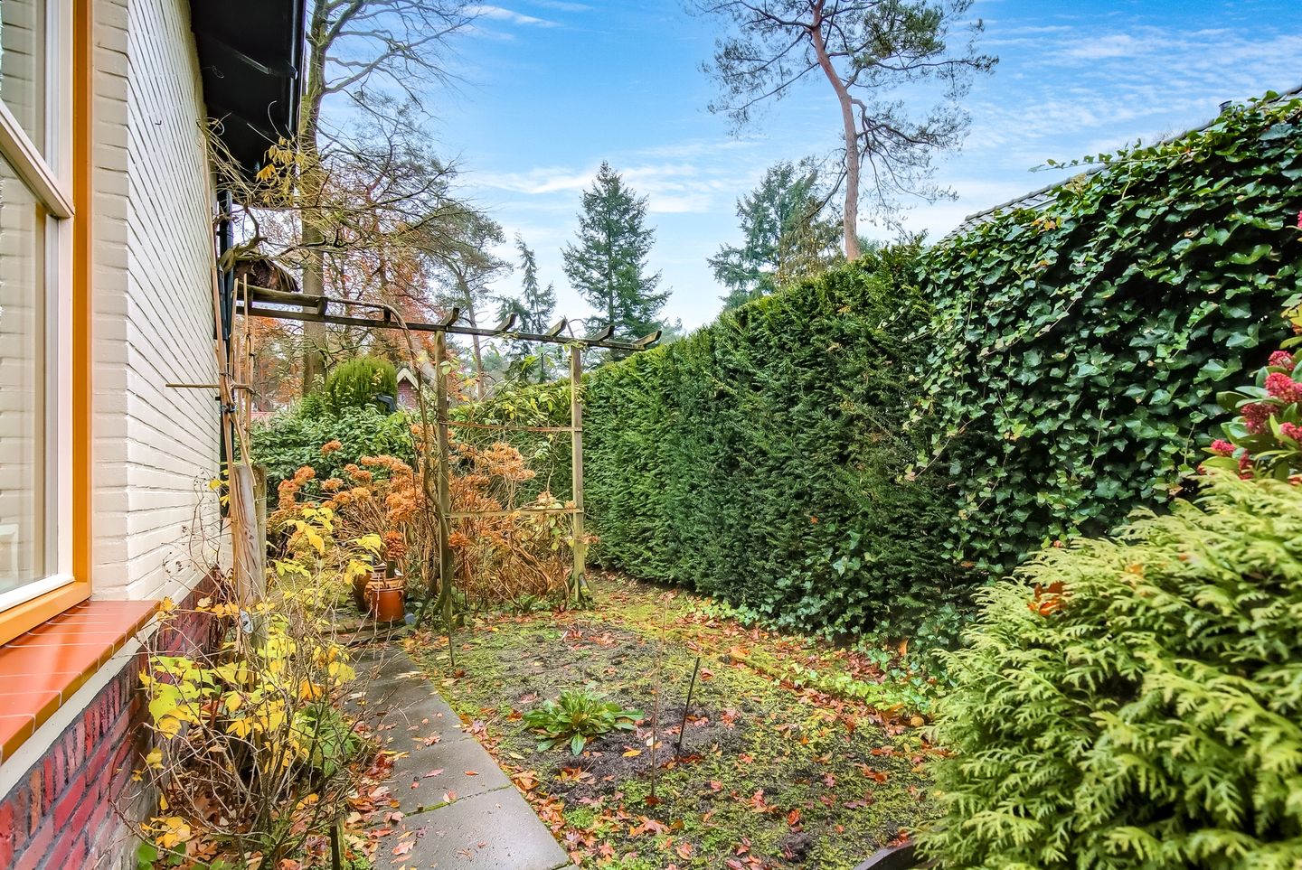 Foto 59 van Jan Steenlaan 4