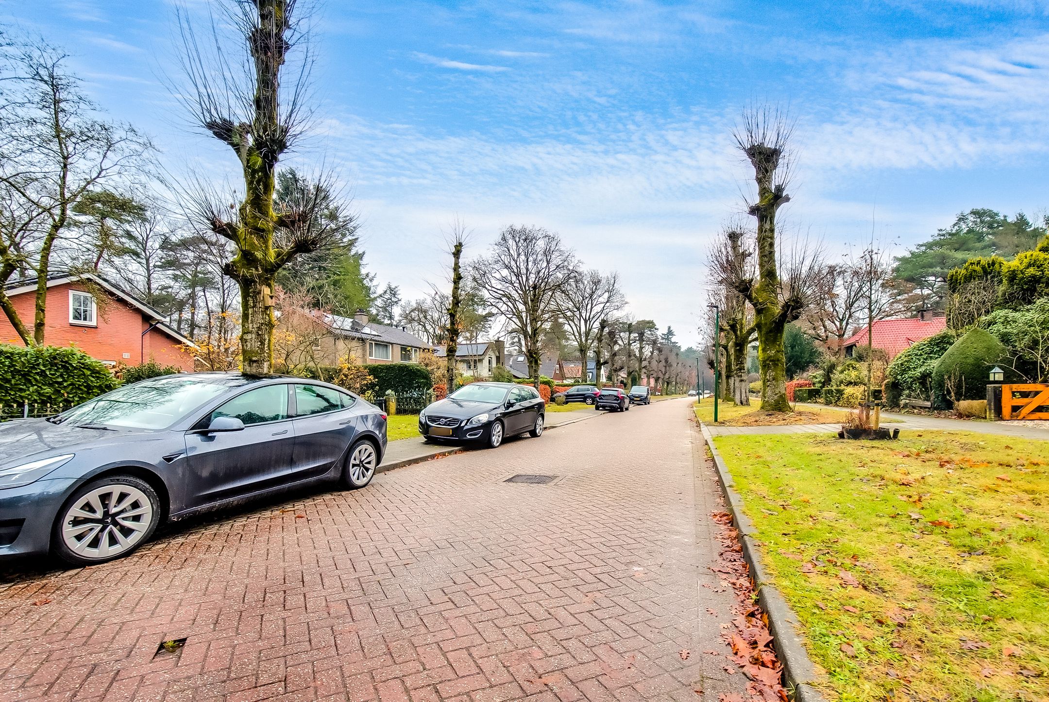 Foto 66 van Jan Steenlaan 4