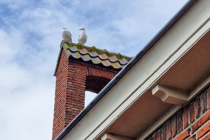 Bekijk foto 20 van Burgemeester Reedekerstraat 56-B