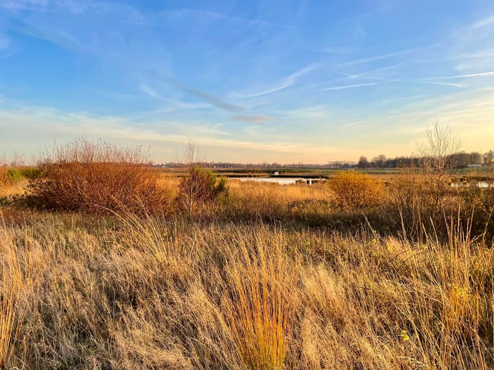 Foto 7 van Meerwijk NZ 7