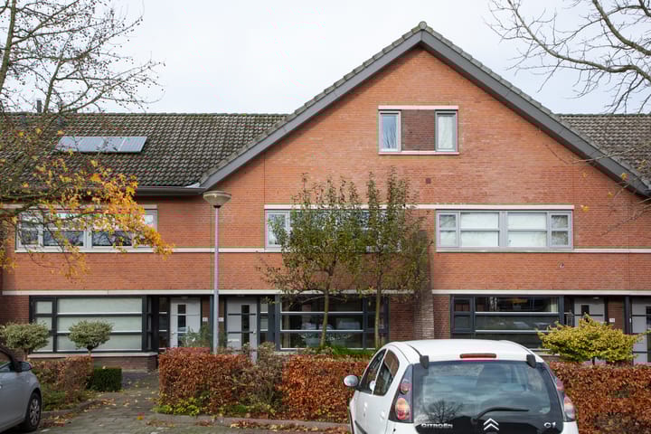 undefined main image