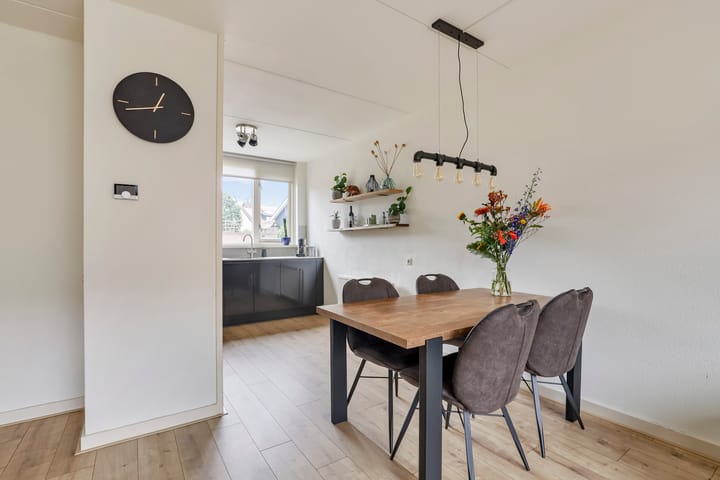 Foto 7 van de Plataan 67