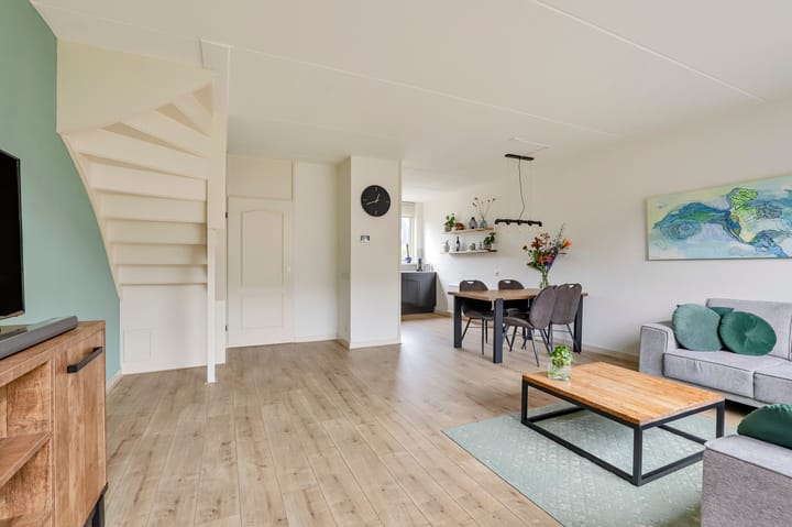 Foto 6 van de Plataan 67