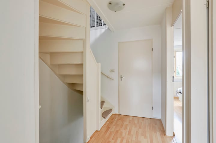 Foto 18 van de Plataan 67