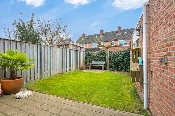 Foto 21 van de Plataan 67