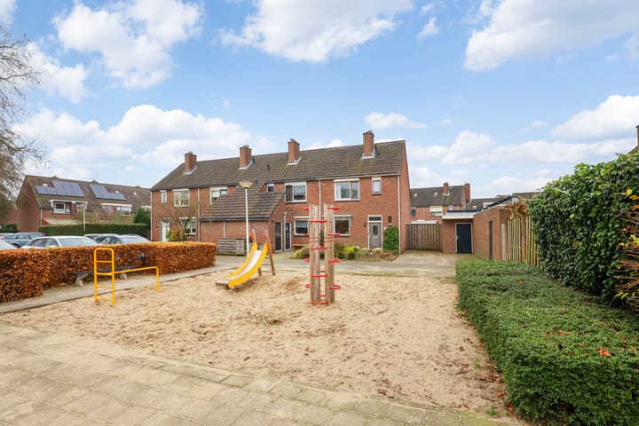 Foto 24 van de Plataan 67