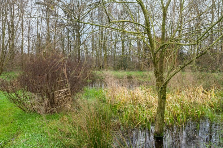 Bekijk foto 65 van Strijperstraat 57-B