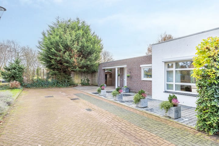 Foto 2 van Belle van Zuylenstraat 6