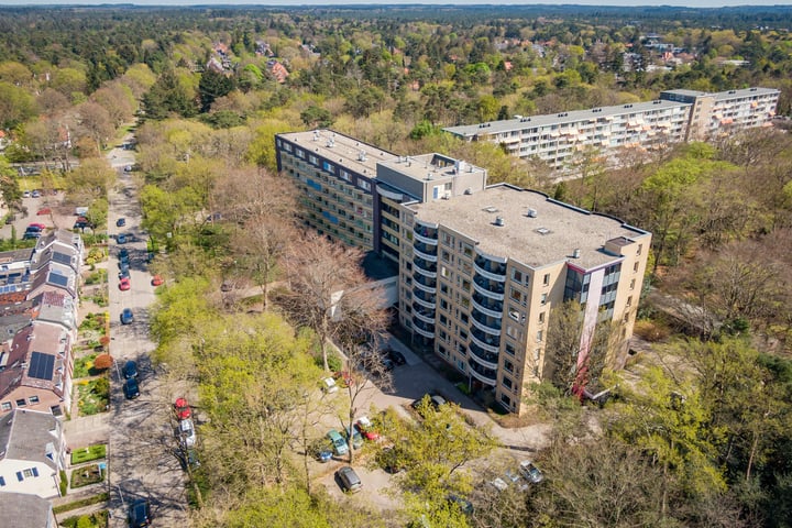 Bekijk foto 4 van Molenweg 68