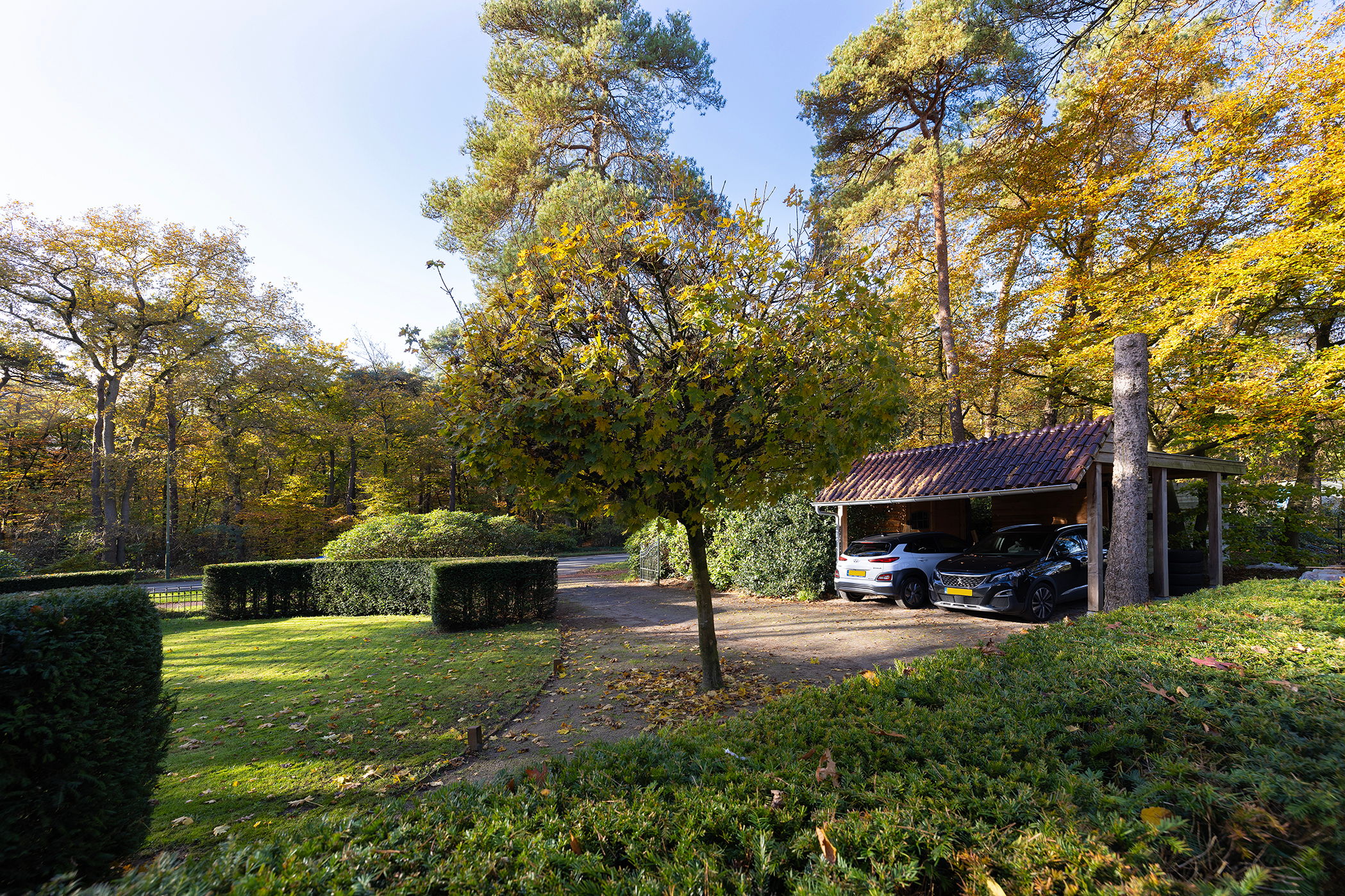 Photo 27 of Barchman Wuytierslaan 89