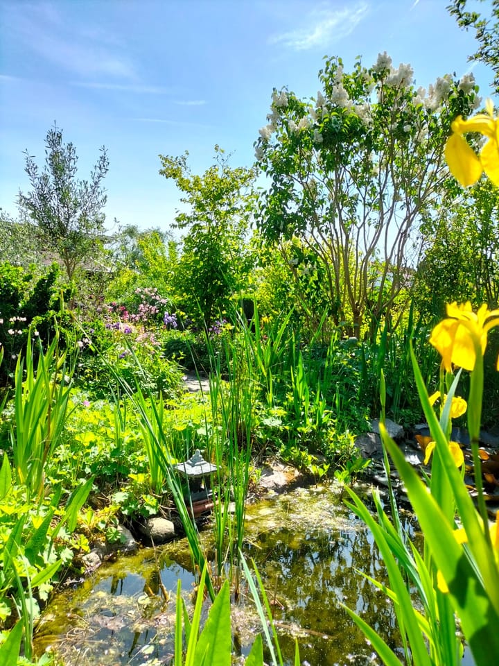 Photo 41 of Christiaan de Vrieslaan 13