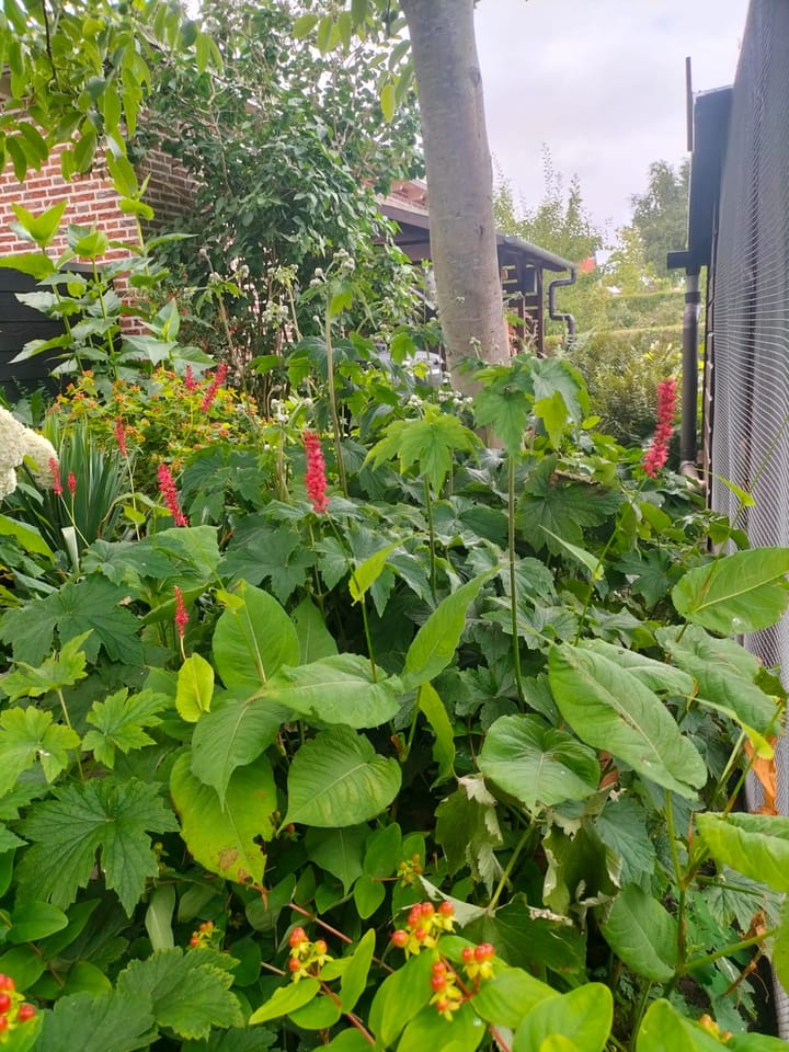 Photo 42 of Christiaan de Vrieslaan 13