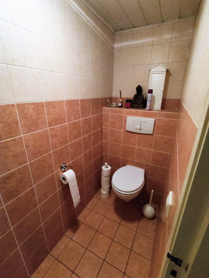 Foto 10 van Westerdijk 58-A