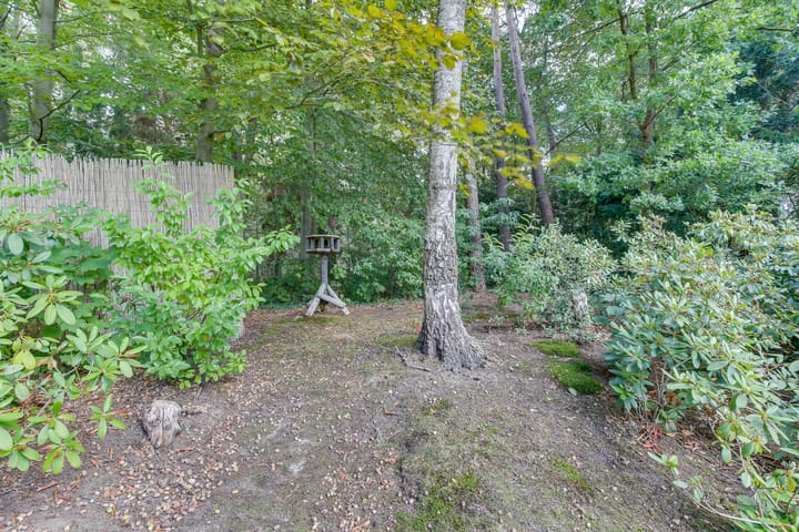 Foto 49 van Hammerweg 41-A