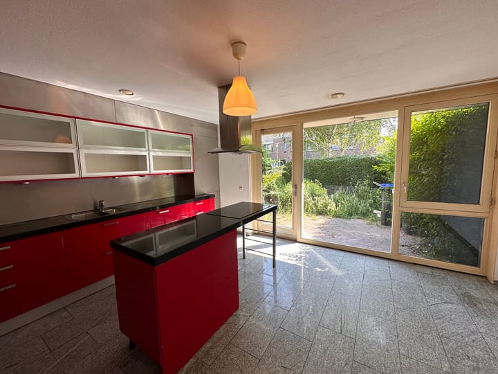 Foto 4 van Hoornplantsoen 48