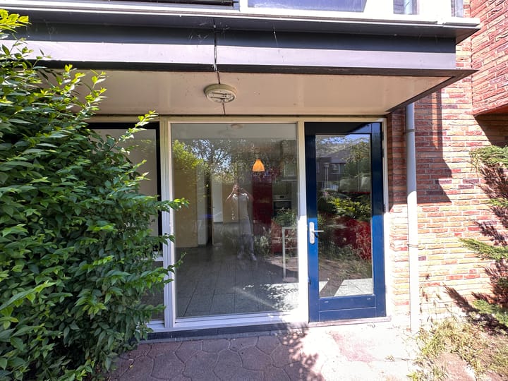 Foto 6 van Hoornplantsoen 48