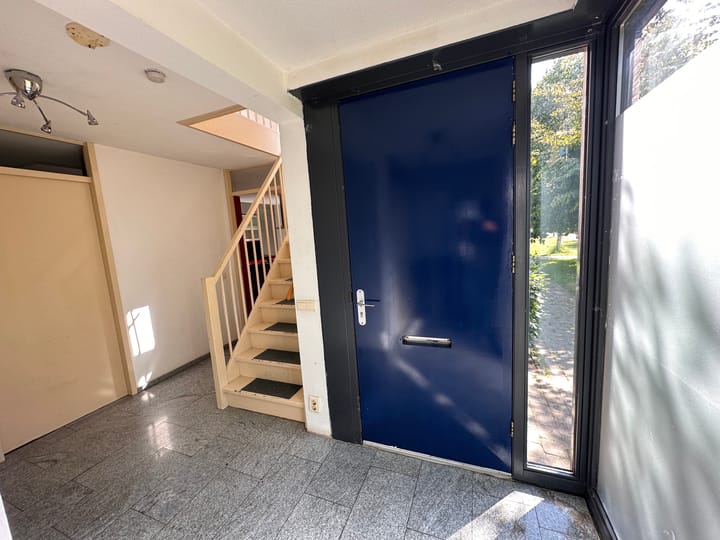 Foto 8 van Hoornplantsoen 48