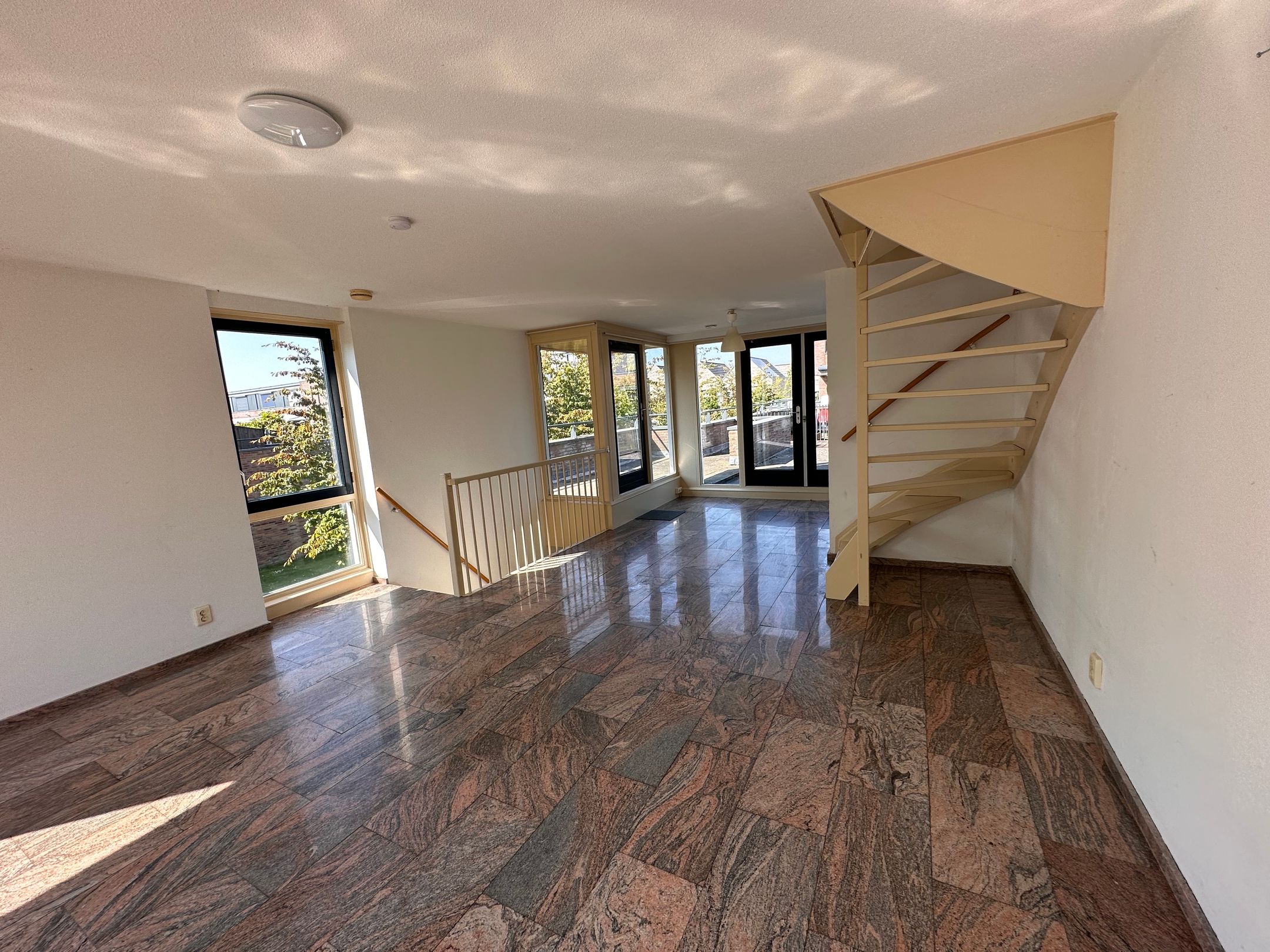 Foto 9 van Hoornplantsoen 48