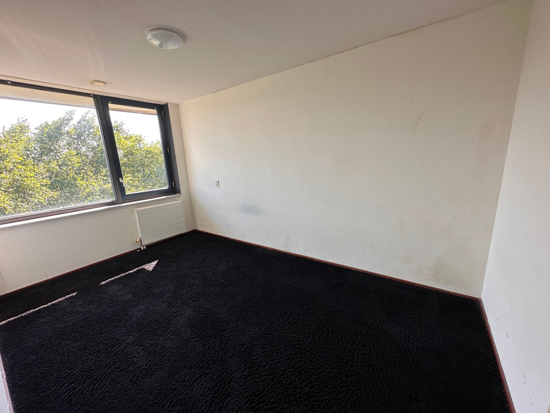 Foto 18 van Hoornplantsoen 48