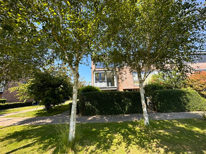 Foto 28 van Hoornplantsoen 48