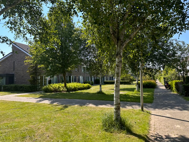 Foto 30 van Hoornplantsoen 48