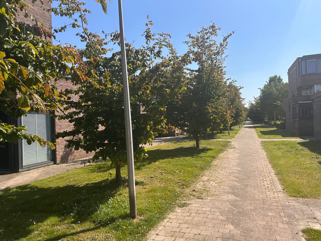 Foto 31 van Hoornplantsoen 48