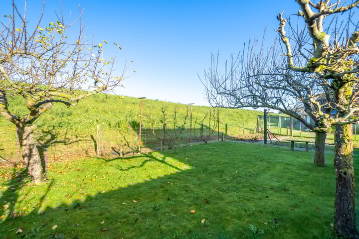 Foto 51 van Koningsstraat 5