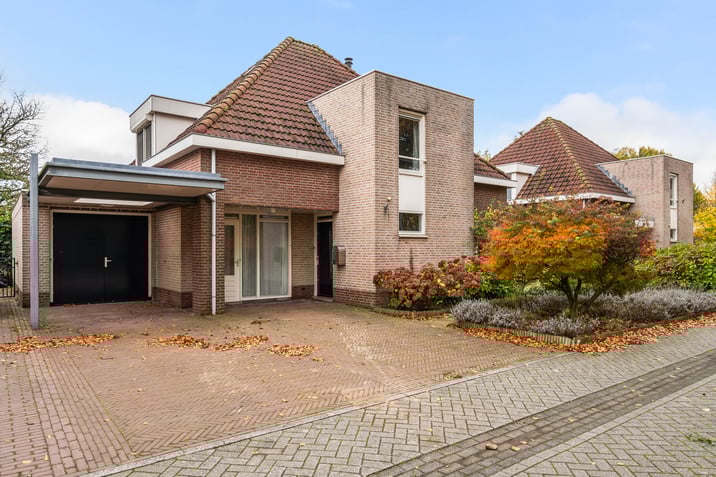 undefined main image