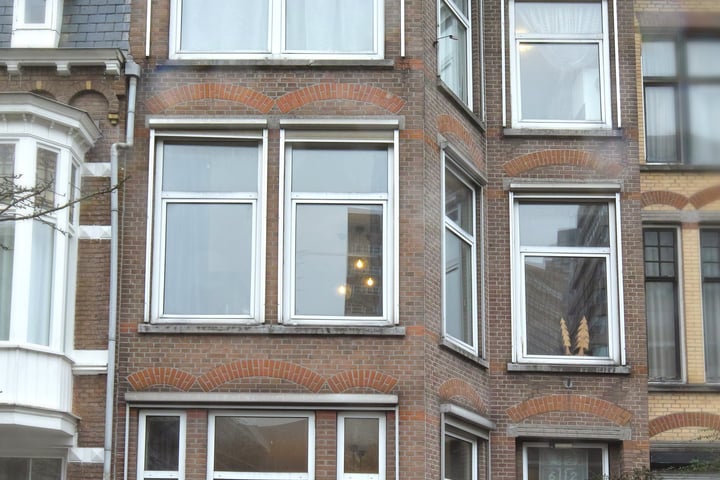 Bekijk foto 1 van Adelheidstraat 62