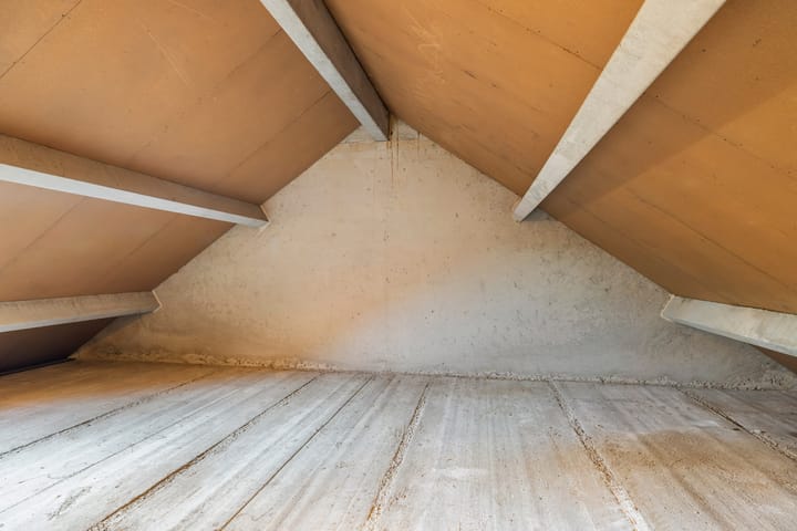 Foto 19 van Rattelwacht 40