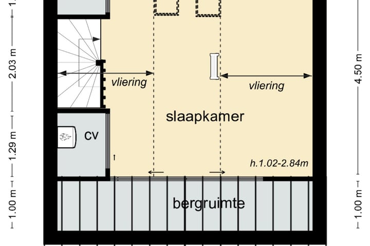 Bekijk foto 39 van Jan van Salmstraat 49