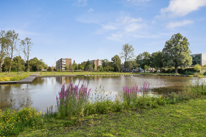 Bekijk foto 15 van Toon Dupuisstraat 29