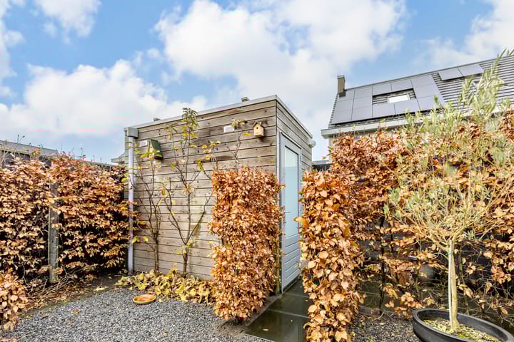 Foto 20 van Grasklokje 20