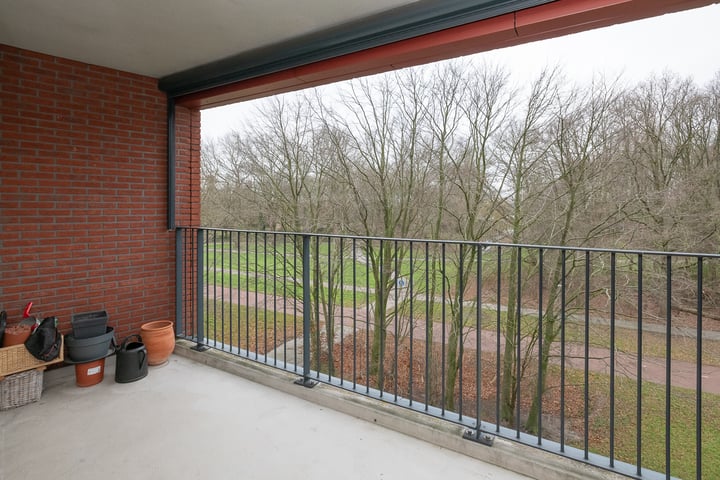 Bekijk foto 4 van Wijnruitstraat 377