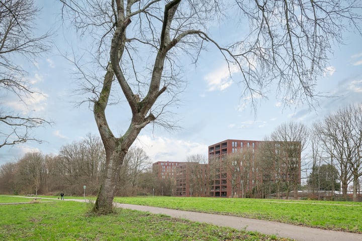 Bekijk foto 36 van Wijnruitstraat 377