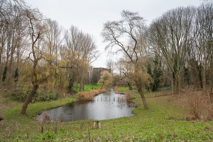 Bekijk foto 42 van Wijnruitstraat 377