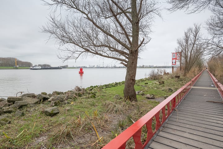 Bekijk foto 43 van Wijnruitstraat 377