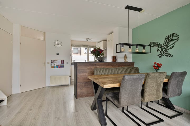 Foto 8 van Paul Rodenkolaan 9