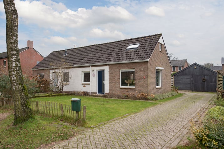 undefined main image