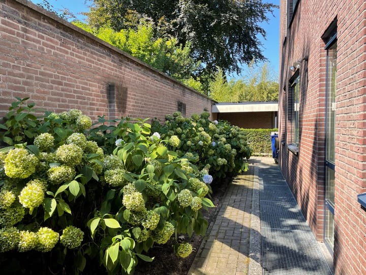 Foto 27 van Jan van Cuijkstraat 4-A