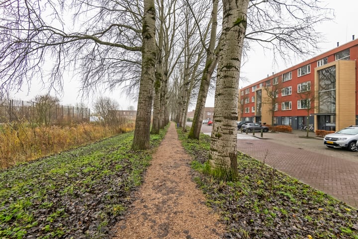 Bekijk foto 40 van Parklaan 221